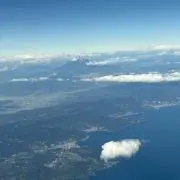 まりんの画像