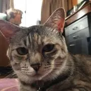 みぞ断捨離中。発送は簡易包装✨の画像