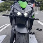 竹の画像