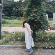 おひさまの画像