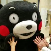 ふみごんの画像