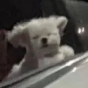 まよの画像