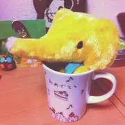 piruの画像