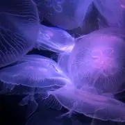 たかこの画像