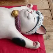 ひろじいの画像