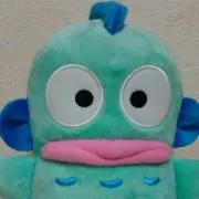 はんぎょどんの画像