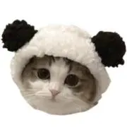 ♡の画像