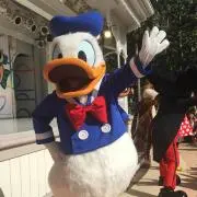 ころにゃん