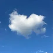 美空の画像