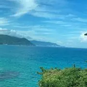 りょ。