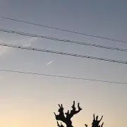 ケンケン