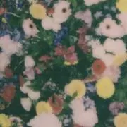 sayaの画像