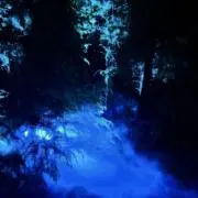 ちゅりん☆の画像
