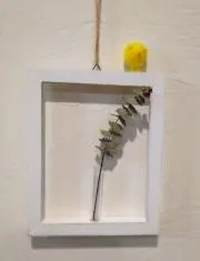 マムリーヌの画像