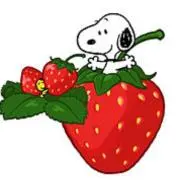 strawberryの画像