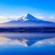 たくの画像