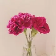 iの画像