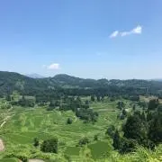 キュプラムの画像