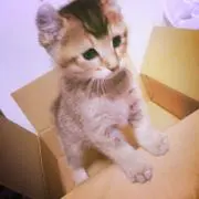 くらげ●断捨離中～プロフ確認願います