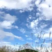 ちゃみの画像