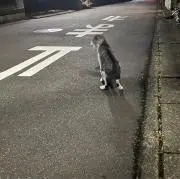 こう