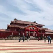 YZKの画像