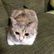 ⭐︎じゅーこ⭐︎
