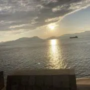 ミミの画像