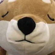 ぬおん