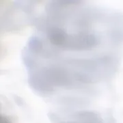 swの画像