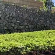 りょく