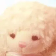 くりーむの画像