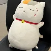 ももの画像