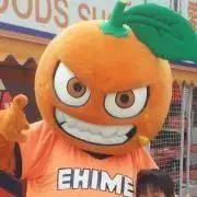 ころ★色々追加出品しますの画像