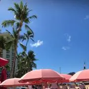 タッチの画像