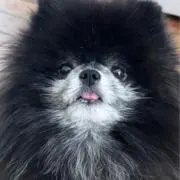ナニカの画像