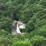 こうさんの画像