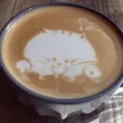 はるはるの画像
