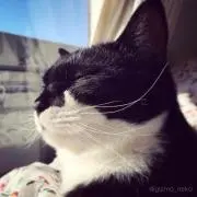 MA
