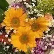 aa0390＊プロフ必読⚠️の画像