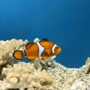 りの画像