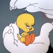 ちきんなんばんの画像