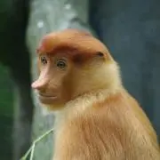 るんるんの画像