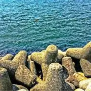 Y ＊プロフィール必見＊の画像