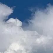みゅうくりゆうの画像