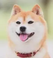有り余る安西の画像