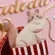 わたねこ@少しだけ断捨離中の画像