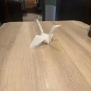 ひろひろの画像