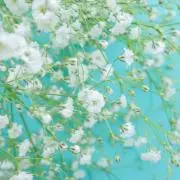 閉店セール中☆プロフィール必読の画像