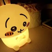 ゆきうさぎ( ˊ͈ ᵕ ˋ͈ )